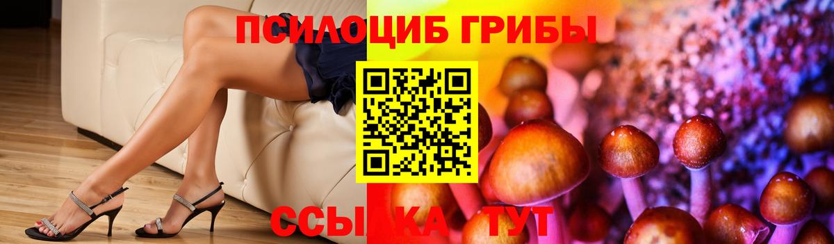 Псилоцибиновые грибы Psilocybine cubensis  Вход с VPN  Галлюциногенные грибы Cubensis  Кандалакша 